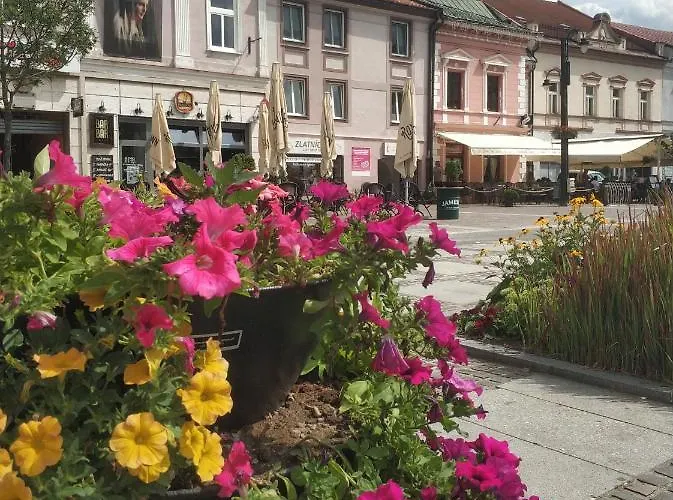 Dorotka Apartamento *